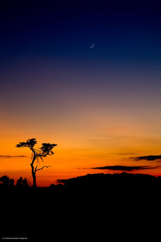 Fotografo profesional peninsula de yucatán cancún y riviera maya